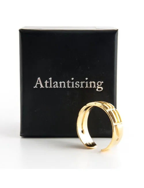Ring - Atlantisring Herren Silber- vergoldet