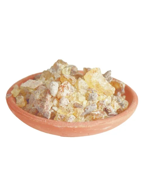 Holy Smokes - Räucherwerk in Tüten - Copal Gold - 50gr.