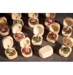 Zaubernuss mit Glückskäfer