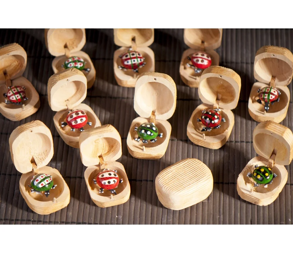 Zaubernuss mit Glückskäfer