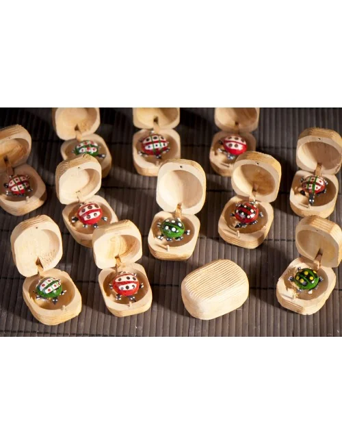 Zaubernuss mit verschiedenen Käfer