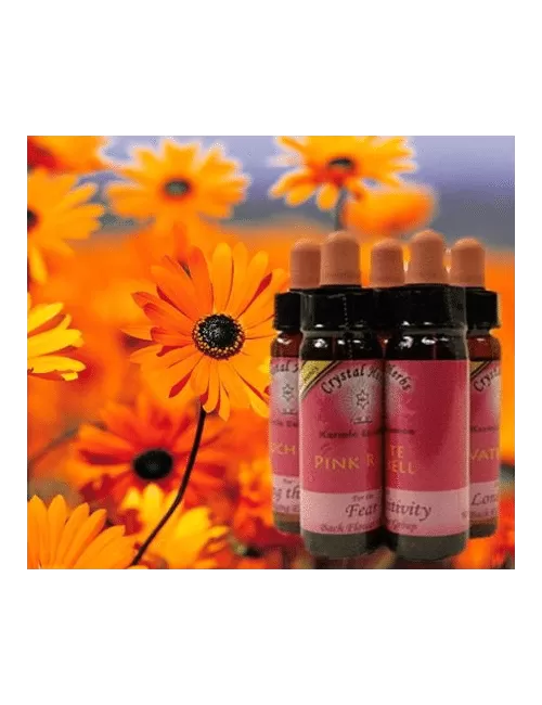 Crystal Herbs - Karma / Bachblüten Essenzen Set - 10er Set