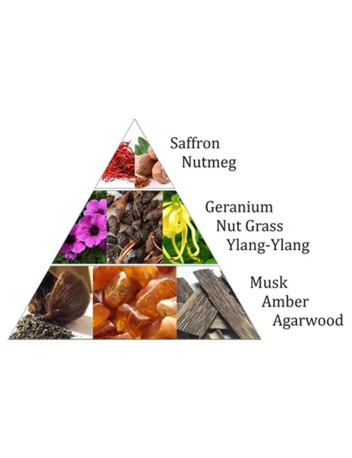 Aromafume - Weihrauchblöcke - Oriental Pearl - 9 Stück Packung ca. 40gr