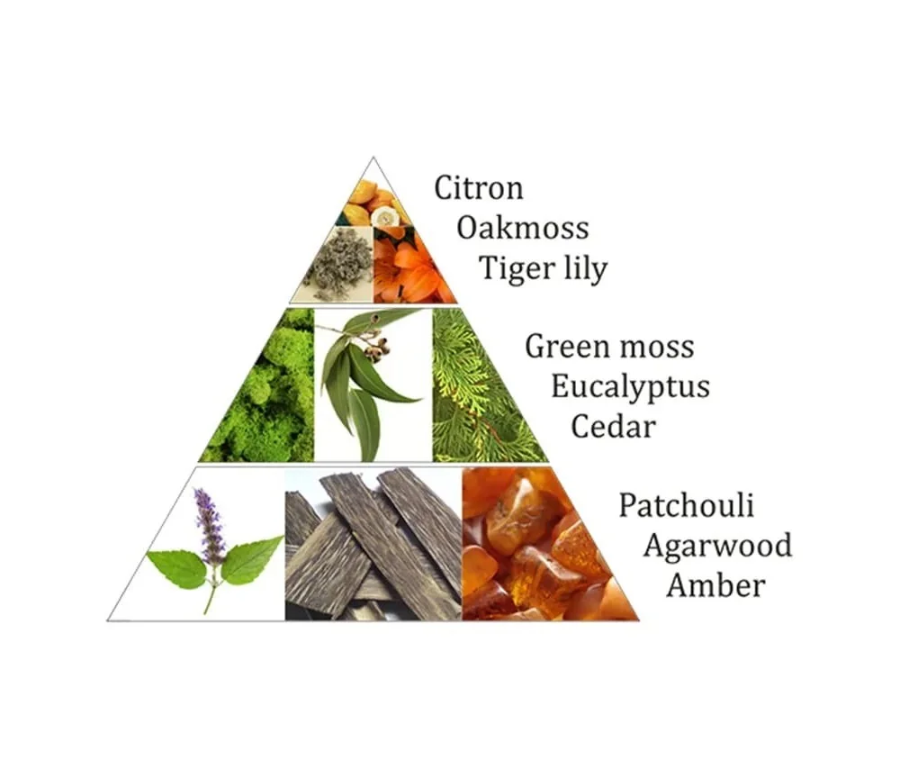 Aromafume - Weihrauchblöcke - Forest Dew - 9 Stück Packung ca. 40gr