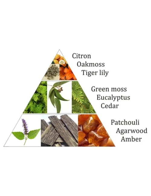 Aromafume - Weihrauchblöcke - Forest Dew - 9 Stück Packung ca. 40gr