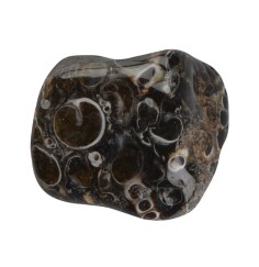 Trommelsteine - Achat - Turitellaachat- 2,5 - 4,0cm - XL - 500gr Beutel