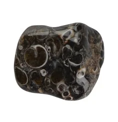 Trommelsteine - Achat - Turitellaachat- 2,5 - 4,0cm - XL - 500gr Beutel