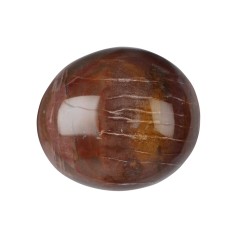 Trommelsteine - versteinertes Holz, 3,5 - 5,0cm - Jumbo - 500gr Beutel