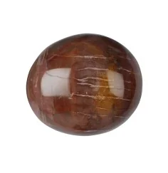 Trommelsteine - versteinertes Holz, 3,5 - 5,0cm - Jumbo - 500gr Beutel