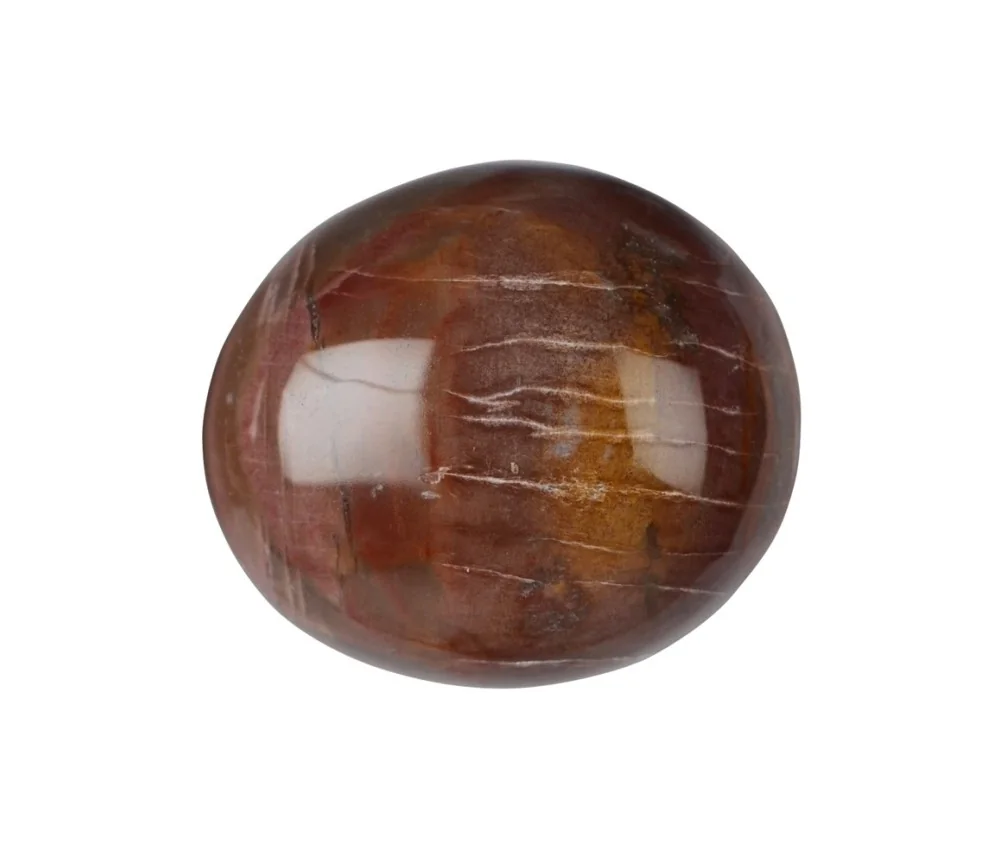 Trommelsteine - versteinertes Holz, 3,5 - 5,0cm - Jumbo - 500gr Beutel