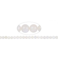Heilstein & Edelstein-Strang - Kugeln, Mondstein (weiß), 08mm (39 cm)