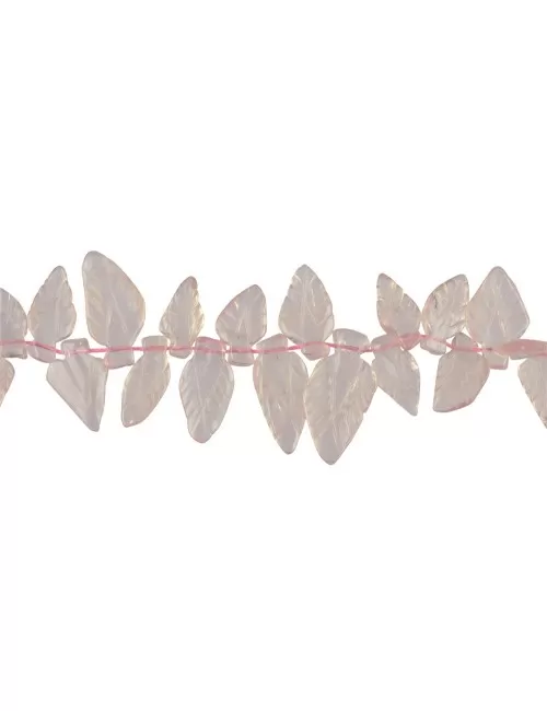 Heilstein & Edelstein-Strang - Blatt