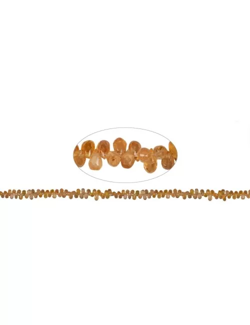 Heilstein & Edelstein-Strang - Tropfen