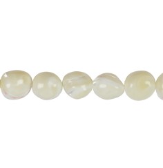 Heilstein & Edelstein-Strang - Nuggets, Perlmutt (hell), 12-16 x 08-15mm