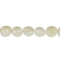 Heilstein & Edelstein-Strang - Nuggets, Perlmutt (hell), 12-16 x 08-15mm