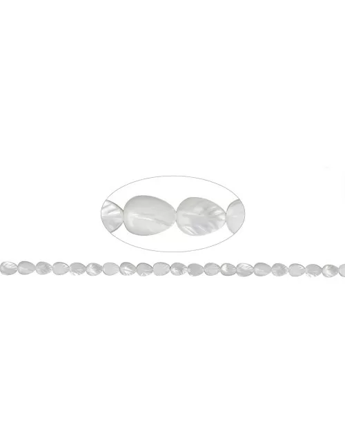 Heilstein & Edelstein-Strang - Blatt