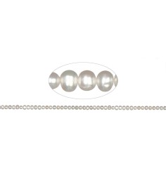 Heilstein & Edelstein-Strang - rund, Süßwasser-Perle A, weiß, 04-04,5mm