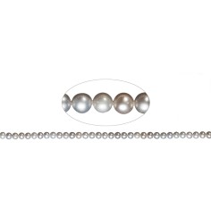 Heilstein & Edelstein-Strang - rund, Süßwasser-Perle A, silbergrau (gef.), 04-04,5mm