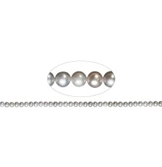 Heilstein & Edelstein-Strang - rund, Süßwasser-Perle A, silbergrau (gef.), 04-04,5mm