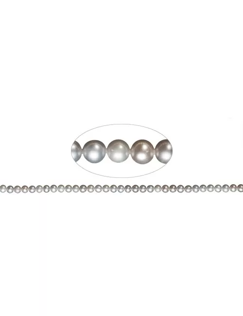 Heilstein & Edelstein-Strang - rund, Süßwasser-Perle A, silbergrau (gef.), 04-04,5mm
