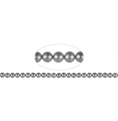 Heilstein & Edelstein-Strang - rund, Süßwasser-Perle AA, grau (gef.), 07-07,5mm