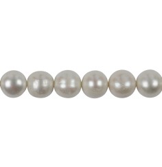 Heilstein & Edelstein-Strang - rund, Süßwasser-Perle AB, creme-weiß (natur), 11 - 15mm, mit Verlauf