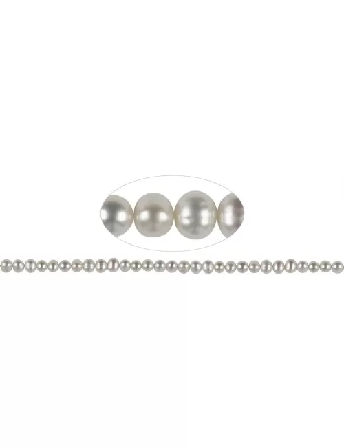 Heilstein & Edelstein-Strang - Potatoe