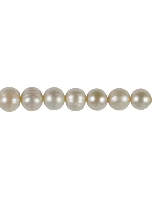 Heilstein & Edelstein-Strang - Potatoe