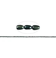 Heilstein & Edelstein-Strang - Reiskorn, Süßwasser-Perle AB, petrol (gef.), 04mm
