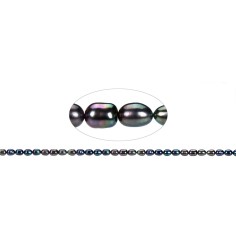 Heilstein & Edelstein-Strang - Reiskorn, Süßwasser-Perle, petrol (gef.), 05-06 x 03-04mm