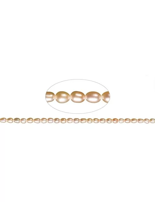 Heilstein & Edelstein-Strang - Reiskorn