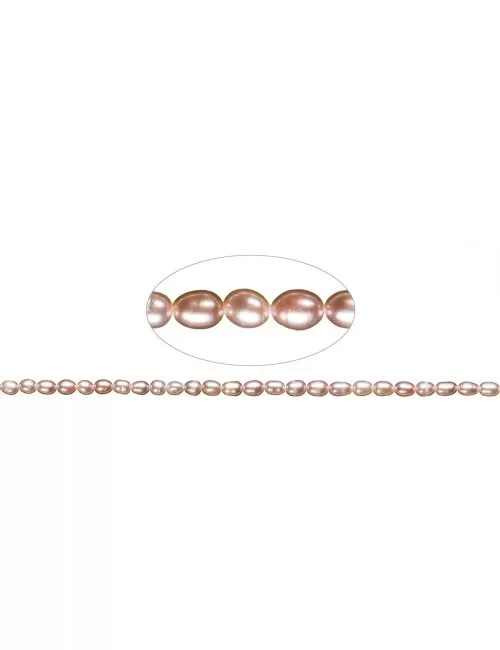 Heilstein & Edelstein-Strang - Reiskorn