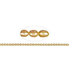 Heilstein & Edelstein-Strang - Reiskorn, Süßwasser-Perle, goldgelb (gef.), 06-07 x 05-06mm
