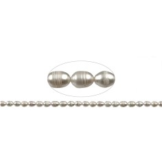 Heilstein & Edelstein-Strang - Reiskorn, Süßwasser-Perle AB, weiß-creme, 08 x 06-07mm