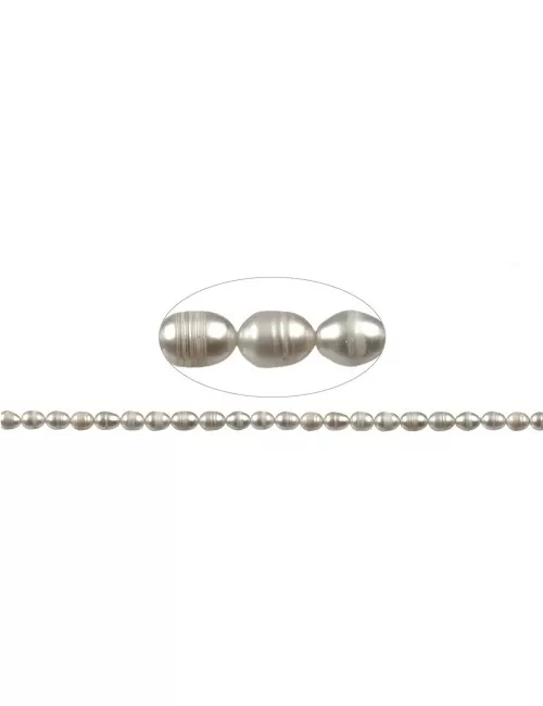 Heilstein & Edelstein-Strang - Reiskorn