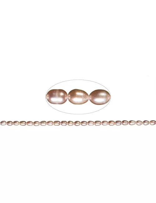 Heilstein & Edelstein-Strang - Reiskorn