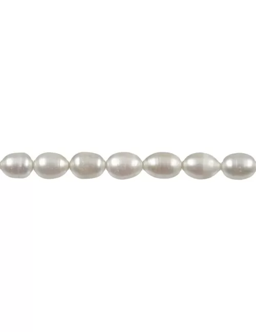 Heilstein & Edelstein-Strang - Reiskorn