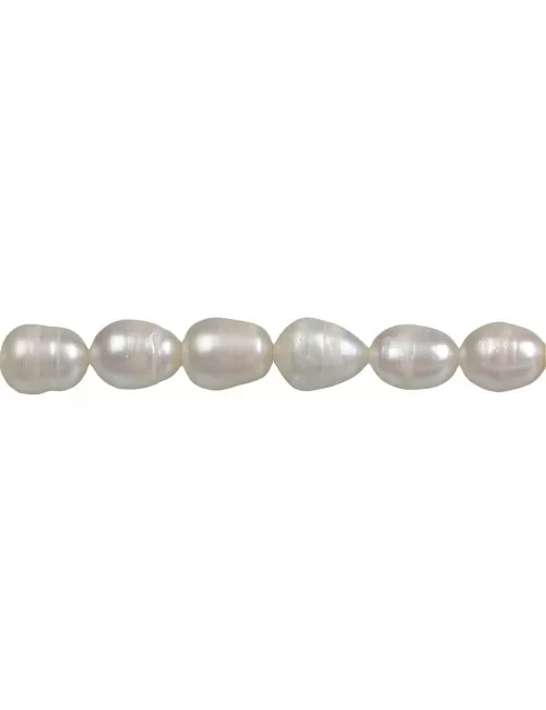 Heilstein & Edelstein-Strang - Reiskorn