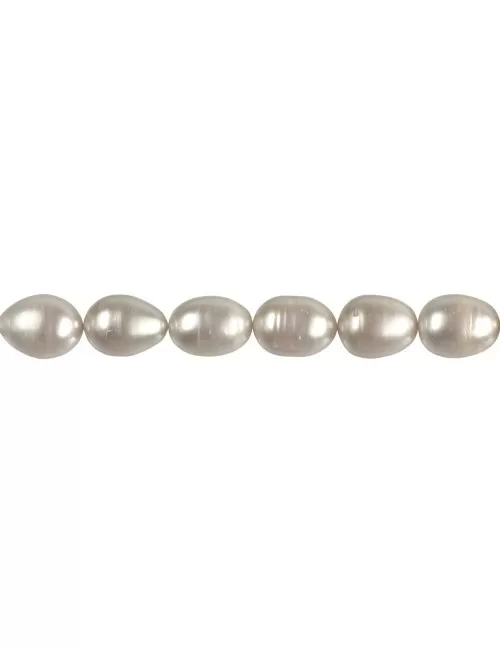 Heilstein & Edelstein-Strang - Reiskorn