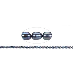 Heilstein & Edelstein-Strang - Reiskorn, Süßwasser-Perle, petrol (gef.), 06-07 x 04-05mm