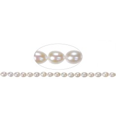 Heilstein & Edelstein-Strang - Tropfen, Süßwasser-Perle, weiß-creme,  08 - 09mm