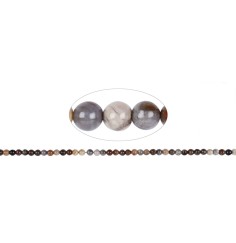Heilstein & Edelstein-Strang - Kugeln, versteinertes Holz, 04mm (38cm)