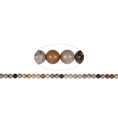 Heilstein & Edelstein-Strang - Kugeln, versteinerte Koralle, 06mm