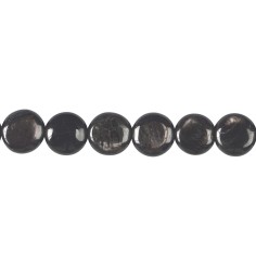 Heilstein & Edelstein-Strang - Coin, Hypersthen, 10mm
