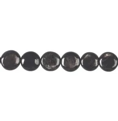 Heilstein & Edelstein-Strang - Coin, Hypersthen, 10mm