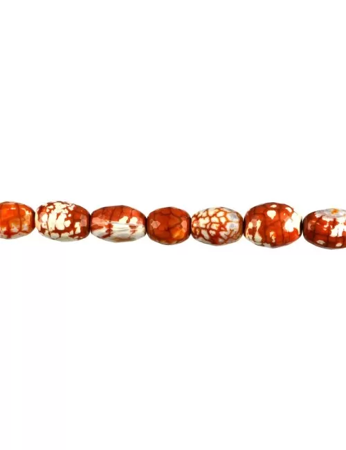 Heilstein & Edelstein-Strang - Oliven