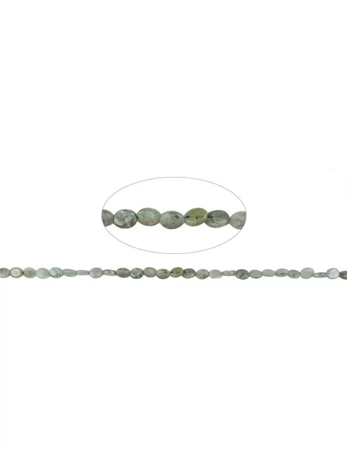 Heilstein & Edelstein-Strang - Linse