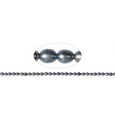 Heilstein & Edelstein-Strang - Reiskorn, Süßwasser-Perle A+, petrol (gef.), 05 x 03-04mm (36cm)