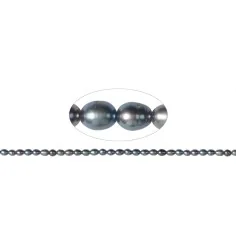 Heilstein & Edelstein-Strang - Reiskorn, Süßwasser-Perle A+, petrol (gef.), 05 x 03-04mm (36cm)