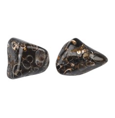 Trommelsteine - Achat - Turitellaachat- 2,0 - 3,0cm - L - 500gr Beutel